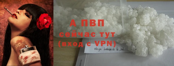 a pvp Ростов