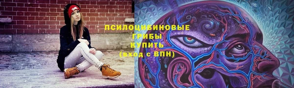 шишки Гусиноозёрск