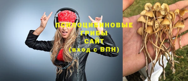 кокс Новодвинск