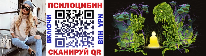 цена   Ак-Довурак  Псилоцибиновые грибы мицелий 